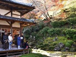 青源寺の庭園を見学する参加者