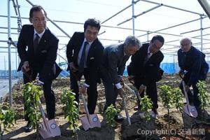 果樹苗に土を被せる松崎社長（左端）ら（仙台ターミナルビル提供）