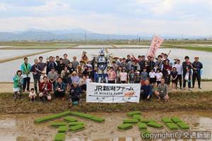 約70人が参加した田植え体験イベント（ＪＲ新潟支社提供）