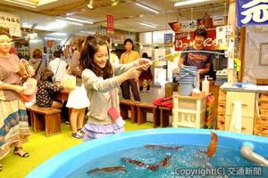 カシオペア乗車ツアーでは、函館で新鮮な海の幸を味わう（店内イカ釣りのイメージ）＝ＪＲ東日本提供＝