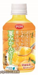 新商品「ぷるんとなめらか　果汁　３０％の夏みかんゼリー」（ＪＲ東日本ウォータービジネス提供）