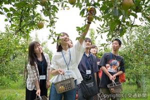 山口市内の果樹園でリンゴ狩りやジャムづくりを体験（関西大学）＝ＪＲ西日本提供＝