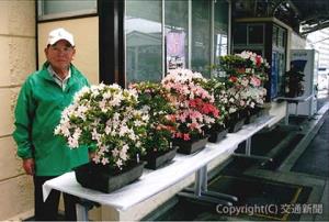 ＪＲ足利駅ホームに盆栽を展示する黒田さん（日本鉄道ＯＢ会提供）