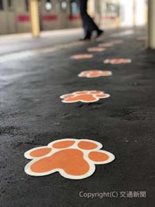 「ハチ公神社」から出口まで続く〝犬の足跡〟（ＪＲ秋田支社提供）