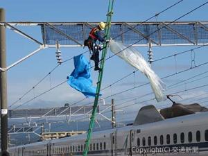 人力での飛来物撤去の様子