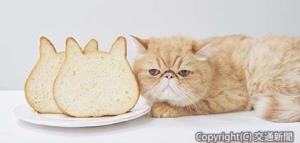 猫の顔をデザインした「ねこねこ食パン」（ＪＲ東日本リテールネット提供）