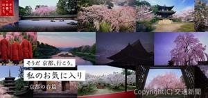 春の京都の楽しみ方を紹介する「私のお気に入り―京都の春篇―」の特設ページ（そうだ　京都、行こう。ＰＲ事務局提供）