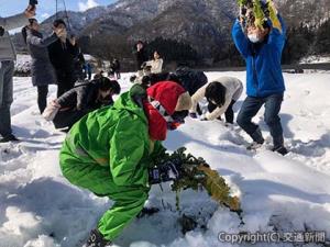 五箇山では和かんじきを履いて雪の下で保存している野菜を掘り出す（イメージ）＝ＪＲ東日本提供＝