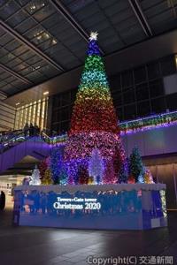 ゲートタワー１階エントランスに登場した名古屋地区最大級のクリスマスツリー