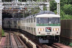 ３月13日のダイヤ改正で定期運用を終了する１８５系（ＪＲ東日本東京支社提供）