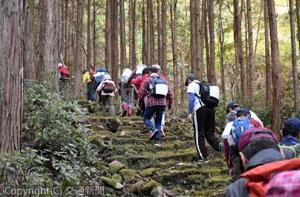 熊野古道を歩く参加者たち。「手作りでアットホームな大会」と評価された（観光庁提供）