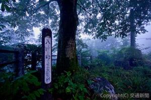 古東山道は群馬県と長野県の県境に位置する入山峠（標高１０３８㍍）を通っていた