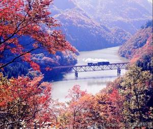 「第三只見川橋梁Ｃ11形」１９７０年10月、只見線会津宮下―早戸間（南正時撮影、鉄道博物館所蔵）＝東日本鉄道文化財団提供＝