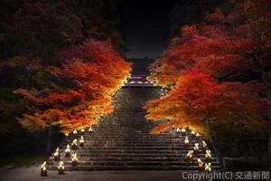 神護寺の竹灯籠イベントのイメージ（ＪＲ東海提供）