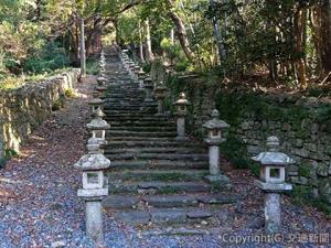 荘厳な雰囲気の万松院の「百雁木」