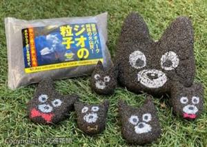 火山灰で作ったキャラクター犬「くろちゃん」の顔（ＪＲ九州提供）