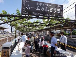 家族連れなどで賑わう３番・４番線ホームのぶどう園エリア（ＪＲ長野支社提供）
