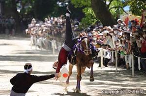 写真部門・国土交通大臣賞を受賞した「藤駈ける」（川﨑成人）＝日本交通文化協会提供＝