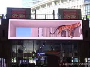 ヒョウの３Ｄ映像
