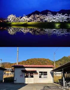 ㊤開花時期にライトアップされる岐阜県飛騨市の「御所桜」㊦杉崎駅の外観（いずれもＪＲ東海提供）