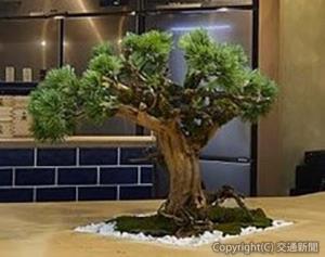 「ＡＲＴ　ＢＯＮＳＡＩ（アート盆栽）」のイメージ＝ＪＲ東日本商事提供＝