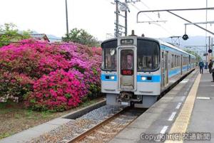 ツツジが咲き誇る豊浜駅に到着する普通列車