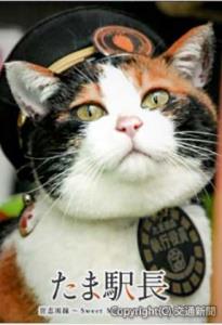 「たま駅長 ～貴志川線～ sweetmemoriesにゃん！」（和歌山電鐵提供）