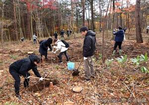 約40人が参加して行われた「ふくしま県民の森　フォレストパークあだたら」での植樹の様子