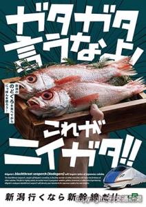 「新潟ののどぐろを食べてからにっぽんを語ろう！」と呼び掛けるポスターのイメージ（ＪＲ新潟支社提供）