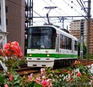 都内で唯一の路面電車「東京さくらトラム（都電荒川線）」。地域住民、観光客輸送に活躍する