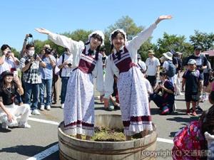 秋の収穫祭「ふらのワインぶどう祭り」のぶどう踏み（ＪＲ北海道提供）