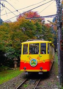 清滝―高尾山間を約６分で結ぶ高尾山ケーブルカー（写真は「もみじ号」）