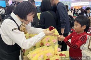 カーネーションの切り花販売