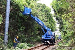 軌陸高所作業車による伐採作業の様子（ＪＲ千葉支社提供）