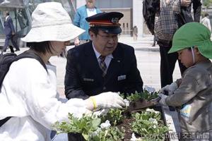 札幌市内の幼稚園児による花の初植え込み