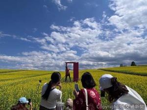人気の花のスポット「やくらいガーデン」（宮城県加美町）を視察するタイの旅行会社関係者（東北観光推進機構提供）