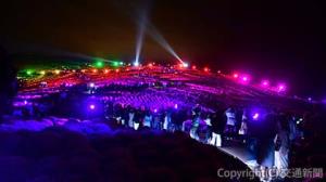 「コキアライトアップ」を開催＝イメージ＝（国営ひたち海浜公園提供）