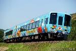 土讃線を快走する「復刻！初代アンパンマン列車」（特急「あしずり」） ＝ＪＲ四国提供＝