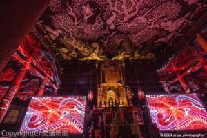 プレミアム夜間拝観イベント「ZEN NIGHT WALK KAMAKURA」＝イメージ＝（ホテルメトロポリタン鎌倉提供）