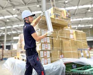 バイオマス素材のストレッチフィルムのイメージ（日航提供）