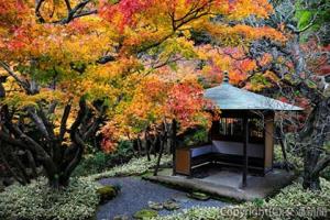 「一条恵観山荘」（神奈川県鎌倉市）＝イメージ＝（ホテルメトロポリタン鎌倉提供）