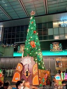 ＪＲゲートタワーに巨大なクリスマスツリーが今年も登場
