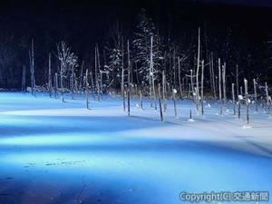 ライトアップされた青い池（イメージ）