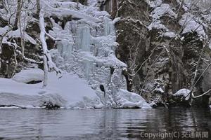 ナイトツアーのイメージ（十和田奥入瀬観光機構提供）