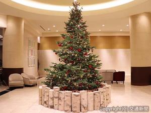 ＪＲタワーホテル日航札幌のロビーに、帯広市の真鍋庭園から運ばれたモミの生木のクリスマスツリーを展示（JR北海道ホテルズ提供） 