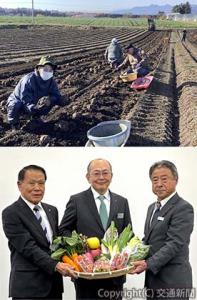 ㊤第１弾で実施したこんにゃく芋収穫の様子 ㊦会見に出席した（左から）髙橋村長、樋口支社長、田村組合長（ＪＲ東日本高崎支社提供）