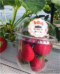 「にしてつベジフル　ＴＲＡＩＮ」で運んだ商品にはシールを貼付し、取り組みや鮮度の高い商品であることをアピール＝イメージ＝（西日本鉄道提供）