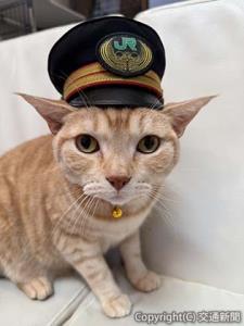 猫駅長体験のイメージ （ＪＲ東日本高崎支社提供）