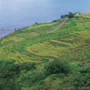 小さな田が海岸まで続く絶景の白米千枚田 ⓒ石川県観光連盟（石川県観光連盟提供） 