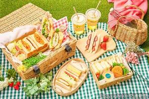 見た目にも華やかな商品がそろう「エキナカパンめぐり」フェアの商品＝イメージ＝（ＪＲ―Ｃｒｏｓｓ提供）